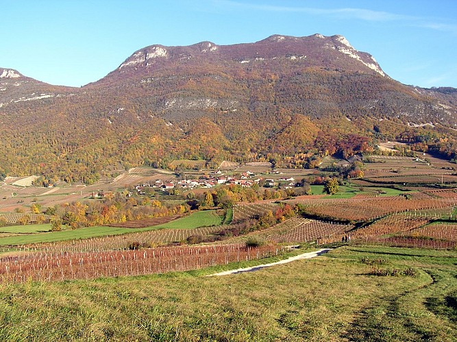 La Charvaz depuis Jongieux_Jongieux