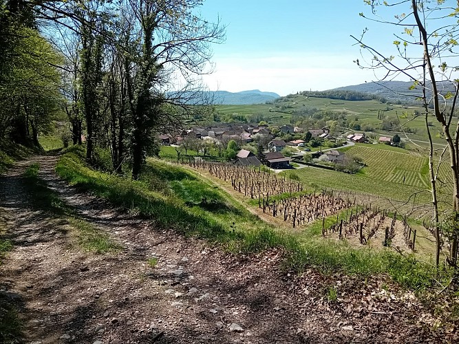 La Charvaz depuis Jongieux_Jongieux