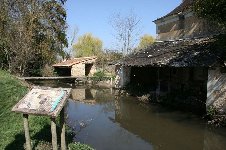 LAVOIR