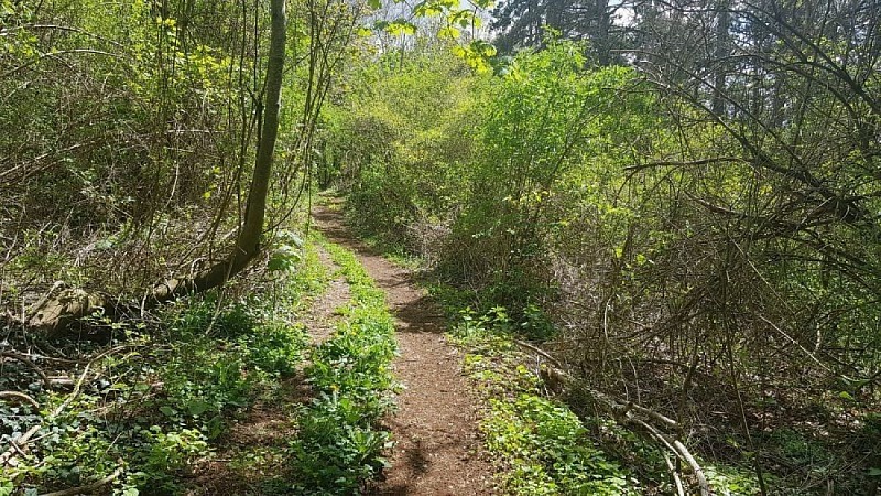 Autreville-sur-Moselle sentier vers La Côte
