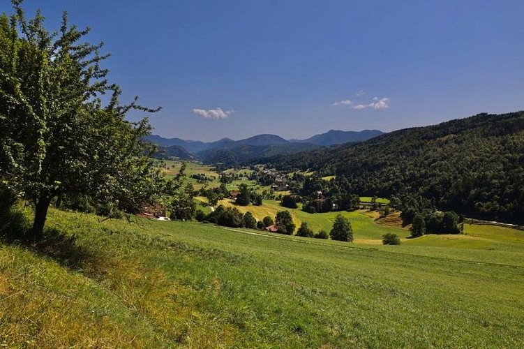 La campagne autour de Saint Martin