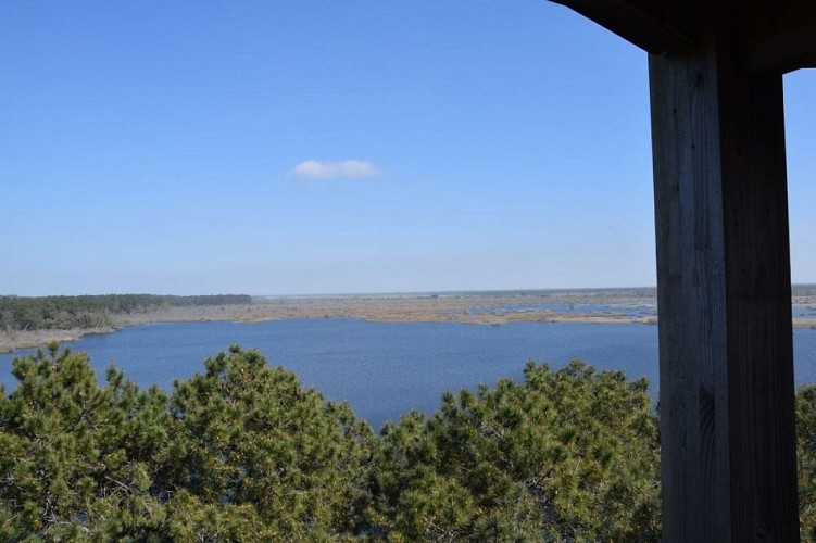 Étang de cousseau le 07/04/2025