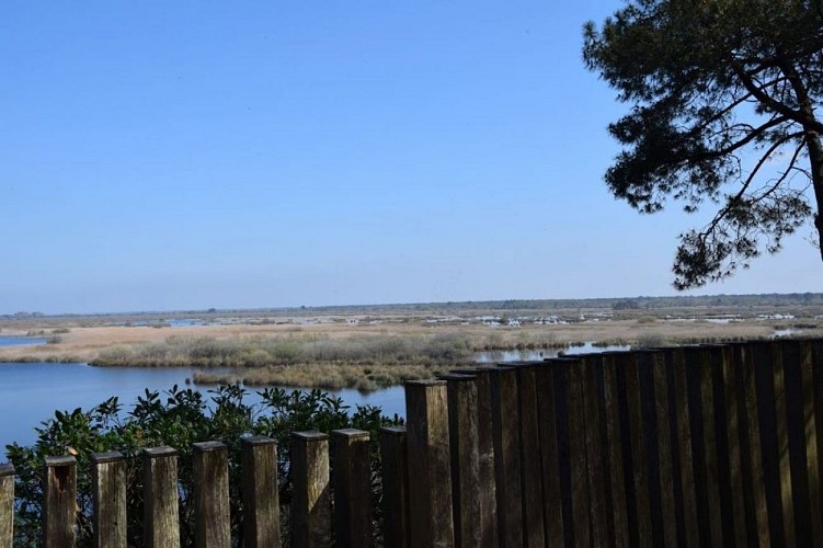 Étang de cousseau le 07/04/2025