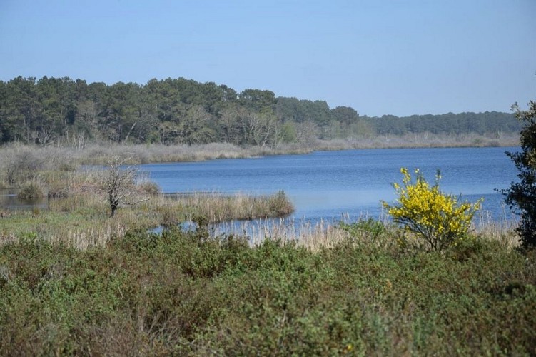 Étang de cousseau le 07/04/2025