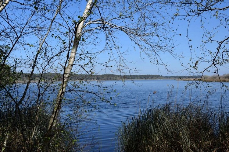 Étang de cousseau le 07/04/2025