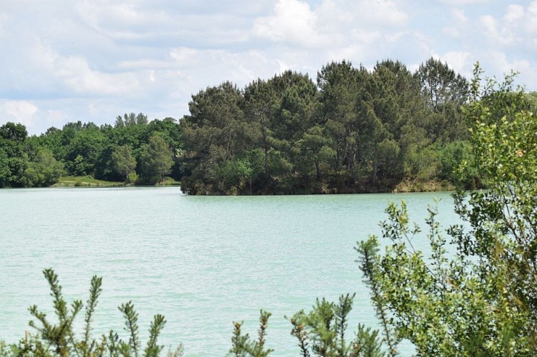 Parcours étangs d'Avensan