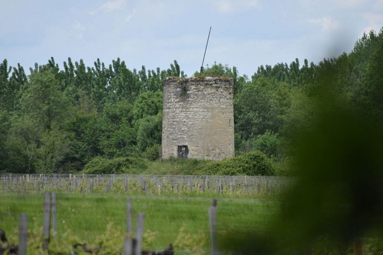 Parcours étangs d'Avensan