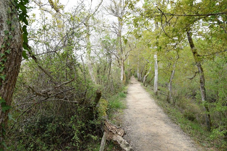 Estuaire de la Leyre