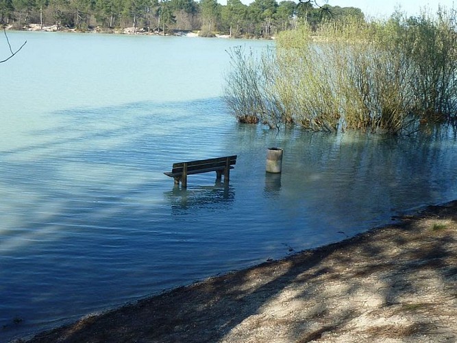 Autour de l'étang de Paloumey