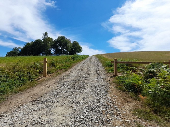 Saint-Hilaire-les-Courbes - Puy du Mas 