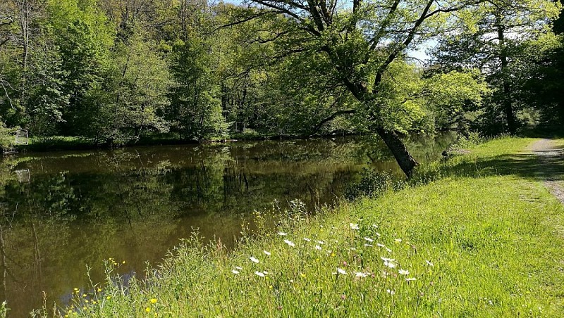 Vézère ©OT Terres de Corrèze