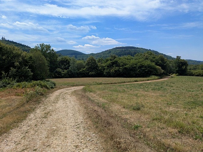 Geant Vert VTT