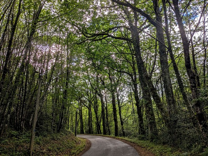Route forestière Chamberet