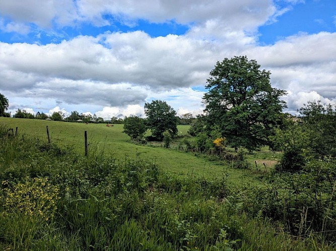 Paysage Chamberet