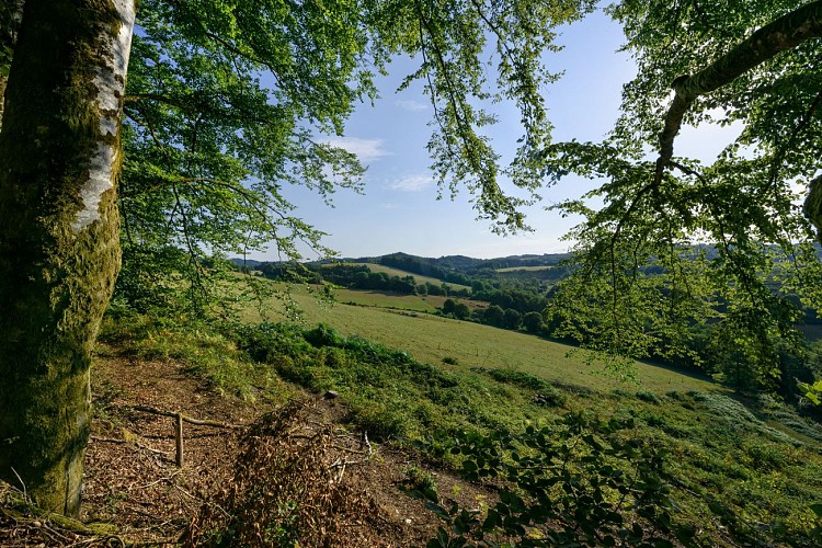 Vue du Mont-Ceix - Chamberet
