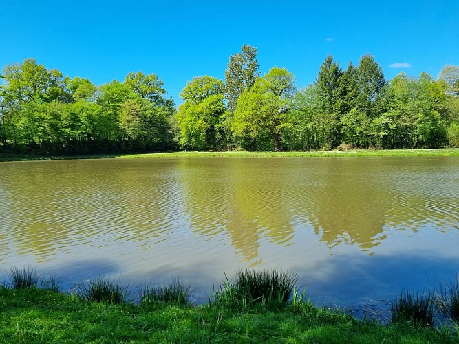 plan d'eau - St Pardoux Corbier (1)