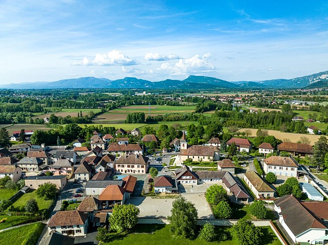 Bike tour : Dauphiné in the saddle