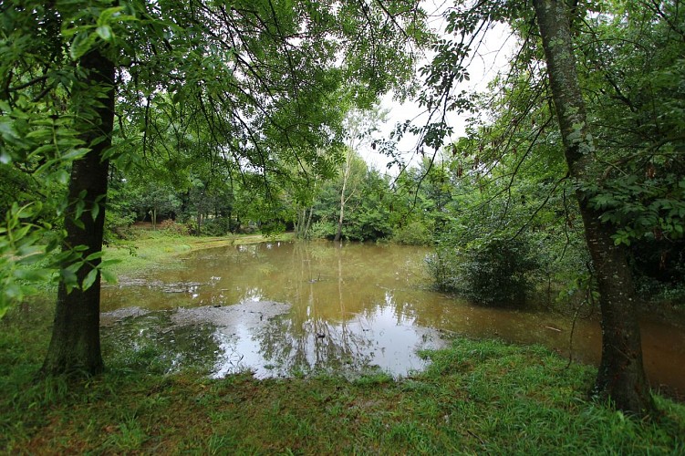 Chemin des Arbres St-Maurice-Navacelles