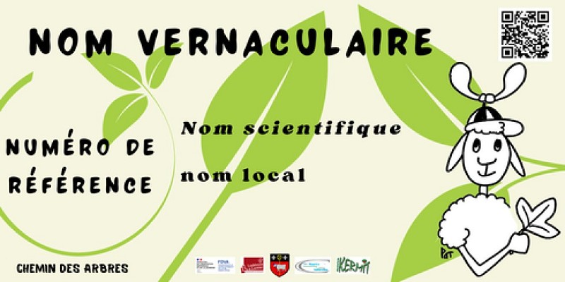 Le Chemin des Arbres Saint-Maurice-Navacelles