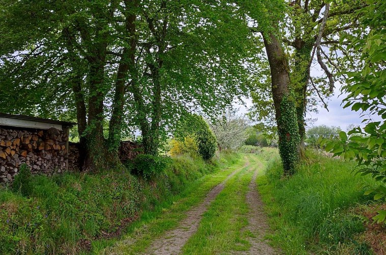 Chemin de la campagne | Lanvellec
