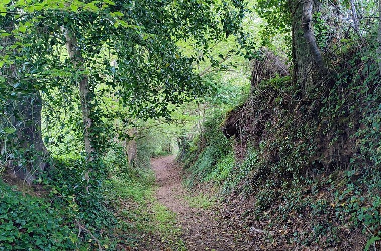 Chemin de la campagne | Lanvellec