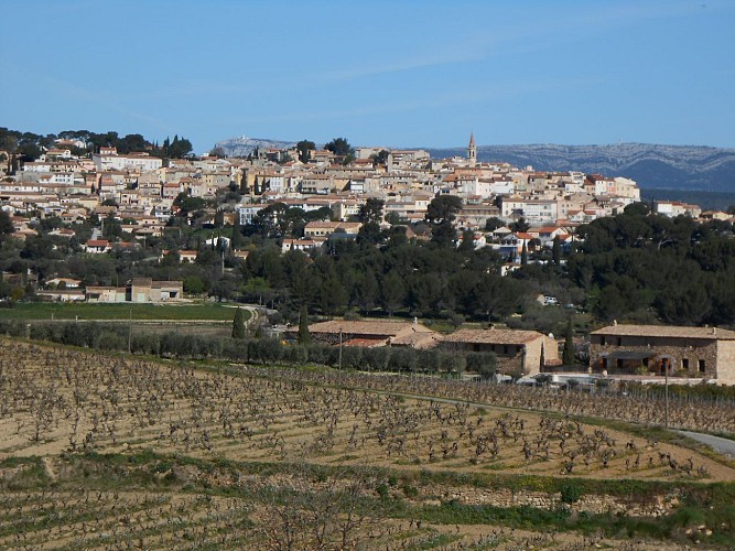 Vue Cadière - vignoble