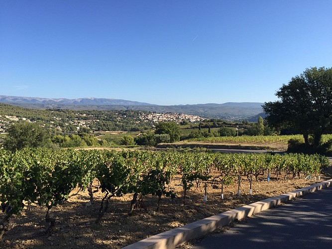 Fontanieu-Pibarnon-St Côme walk