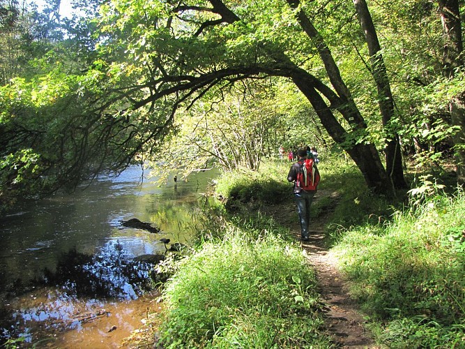 Day Hike Houffalize - Secret valleys and wild paths
