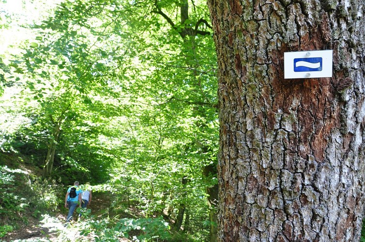 Rando à la journée - Houffalize - Vallées secrètes et sentiers sauvages