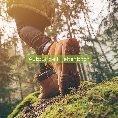 Circuit autour de l'Heltenbach