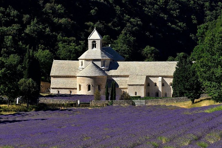 Gordes - Fontaine de Vaucluse (facile)