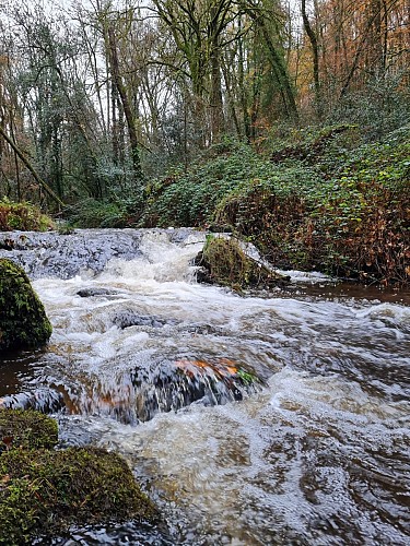 Rivière Soudaine - St-Hilaire-Les-Courbes © L Pénicaud (2)