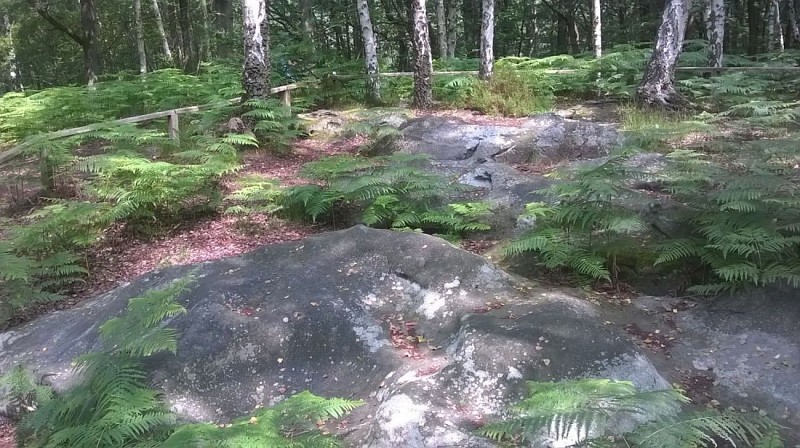 Bois Brulé - Le polissoir