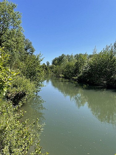 Marais - Marles-sur-Canche