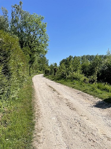 Marais - Marles-sur-Canche