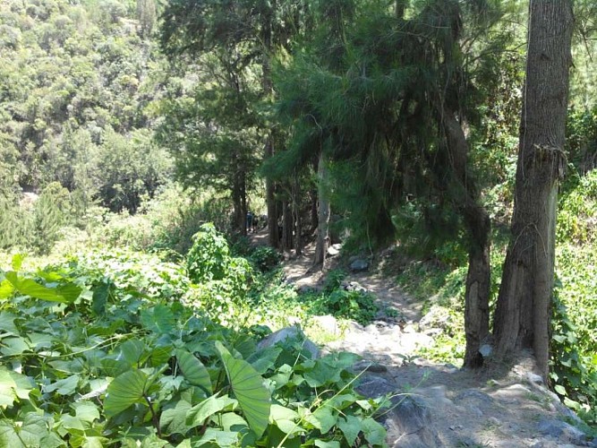 De l'Ilet Ã  Malheur Ã  La Nouvelle