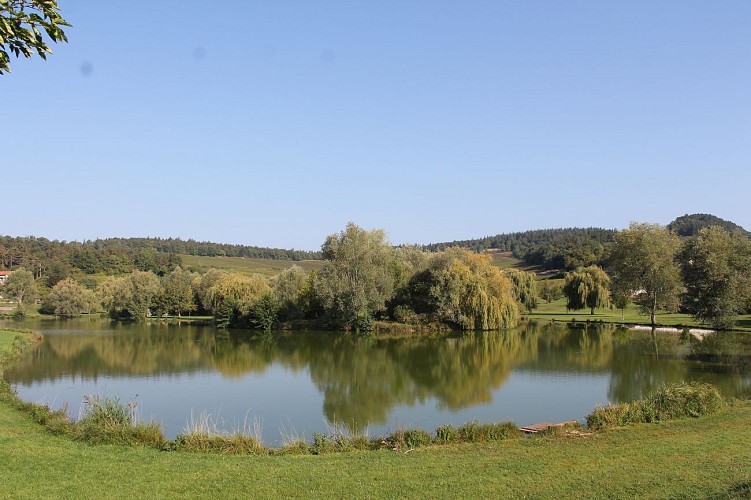 Mercurey M1 : les sentiers thématiques de Mercurey