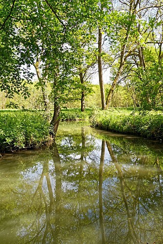 Entre Cens et Loire, patrimoine naturel