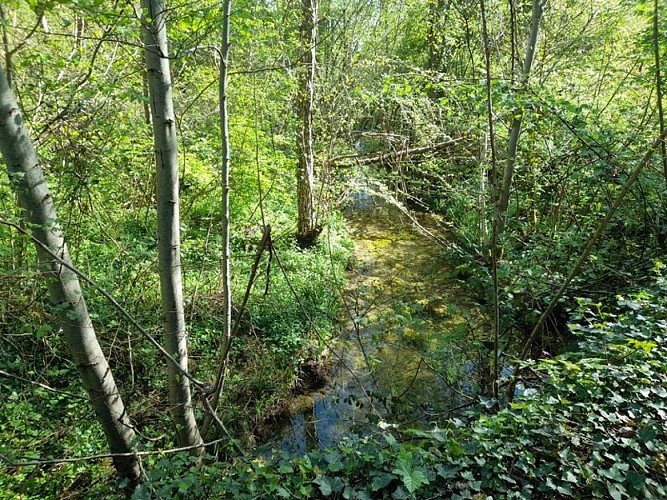 Boussan "Sentier des 3 châteaux"