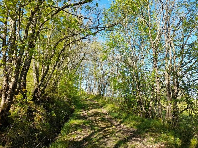 Boussan "Sentier des 3 châteaux"