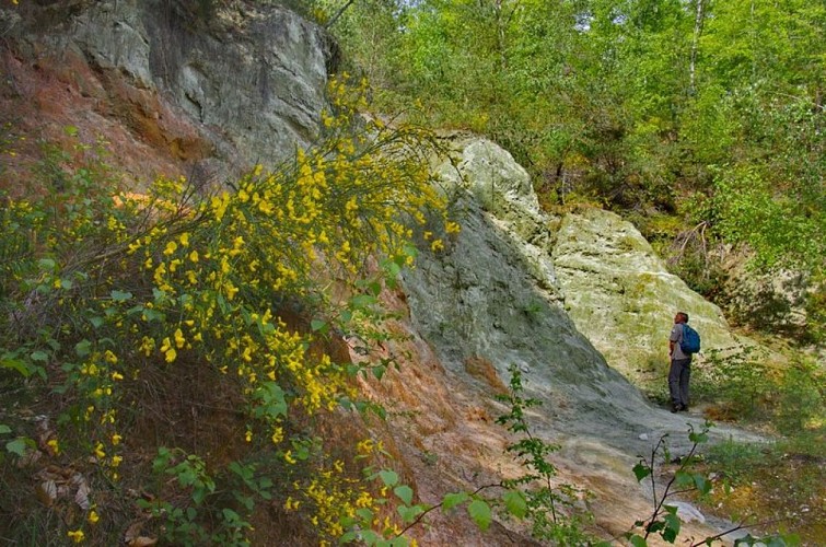 Les sables à proximité du Bois des Scies