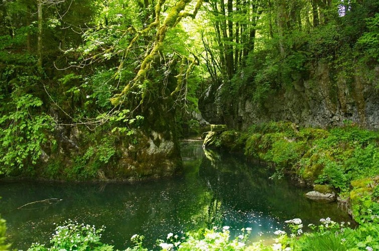 La Vernaison à Bobache