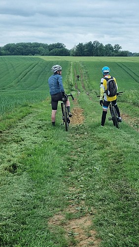 Circuit VTT n°23 (noir) La Grande Sarrasine Tour_Saint-Trivier-de-Courtes