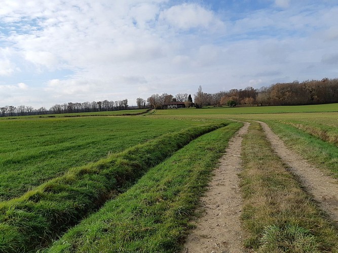 MTB-VTC circuit n°22 (blue) La Petite Sarrasine