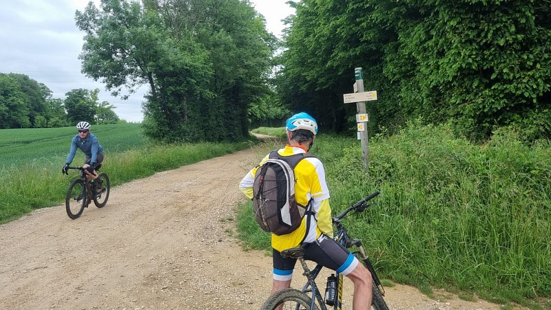 Circuit VTT n°23 (noir) La Grande Sarrasine Tour_Saint-Trivier-de-Courtes