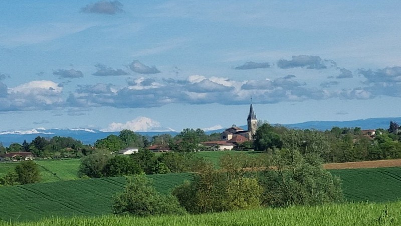 Circuit VTT-VTC n°25 (rouge) Comté de Montrevel - Domaine du Sougey_Montrevel-en-Bresse
