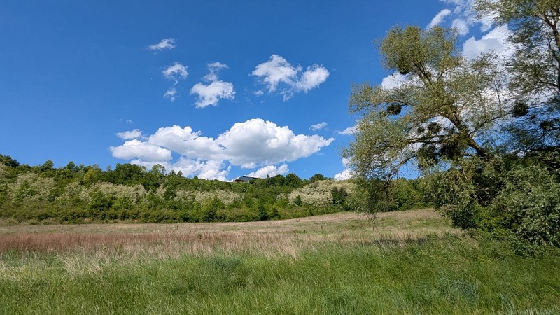 Vue sur le coteau