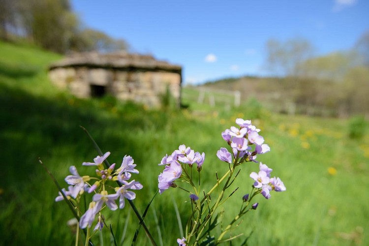 Fontaine St méen ©Bruno Férignac (10)