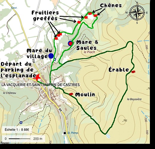 Carte Essences et Sens