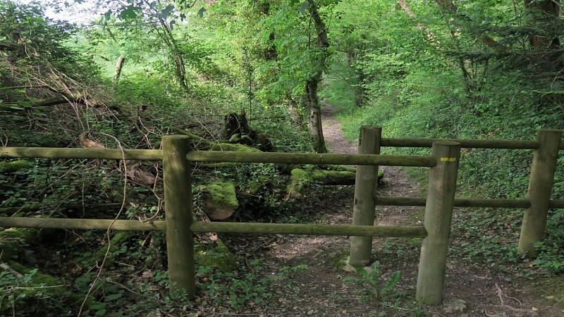 Le sentier du retour